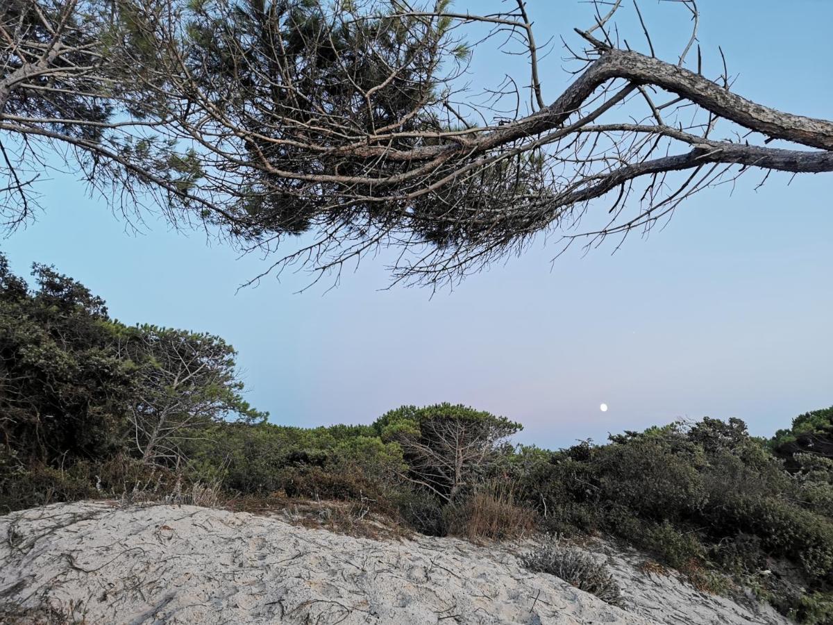 Alghermanzoni 알게로 외부 사진